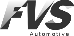 Logo FVS 2021